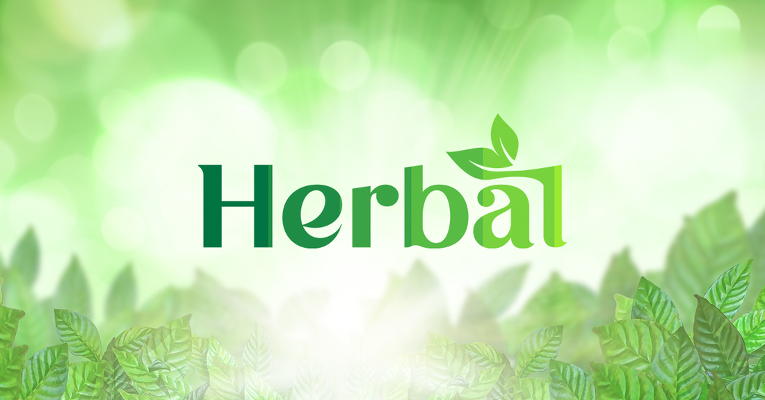Premium natural superfoods including Moringa Powder, Chia Seeds, Pumpkin Seeds, Sunflower Seeds, and Himalayan Shilajit available at HerbalShope for healthy living.